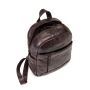 SQUADRA WILD - XS Backpack-Brown