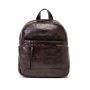 SQUADRA WILD - XS Backpack-Brown