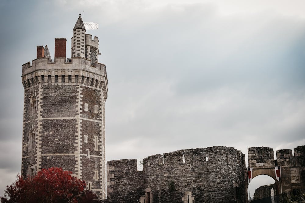 I nomi dei castelli della Loira vicino a Nantes: Castello di Oudon Quali sono i castelli della Loira vicino a Nantes: Castello di Oudon