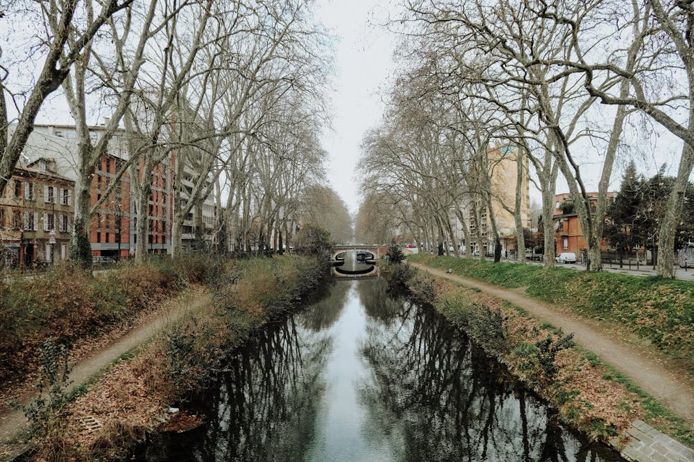 vedere Tolosa: il Canal du Midi Cose da visitare a Tolosa: il Canal du Midi